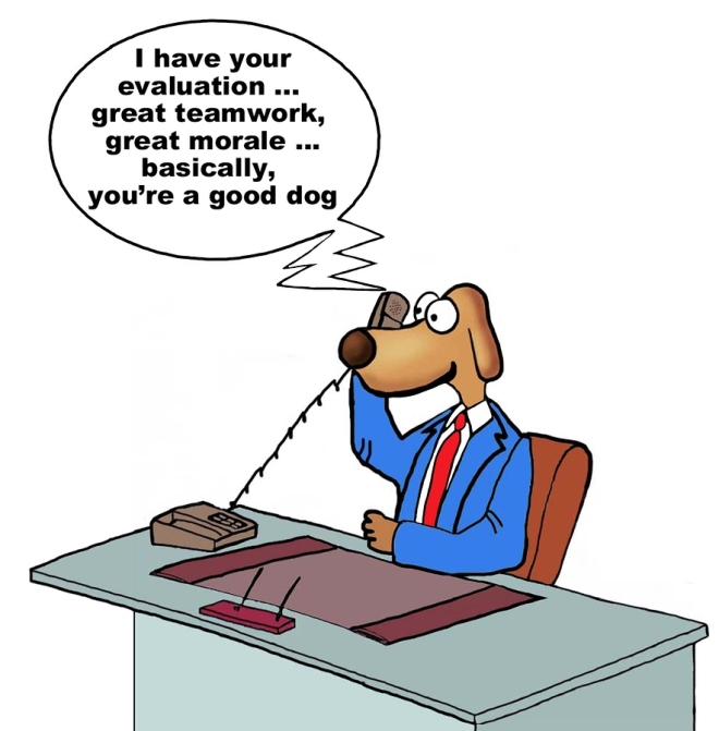 Cartoon of businessman dog getting his evaluation over the phone, great teamwork, great morale, you're a good dog.